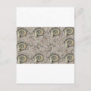 fossiele achtergrond briefkaart