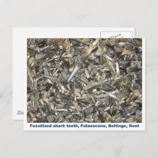 Fossiele haaientanden patroon briefkaart (Voorkant / Achterkant)