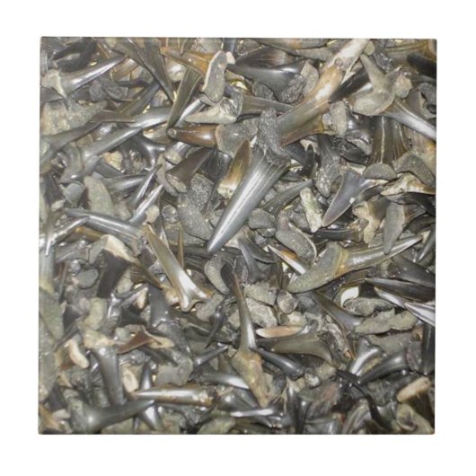 Fossiele haaientanden patroon tegeltje (Voorkant)