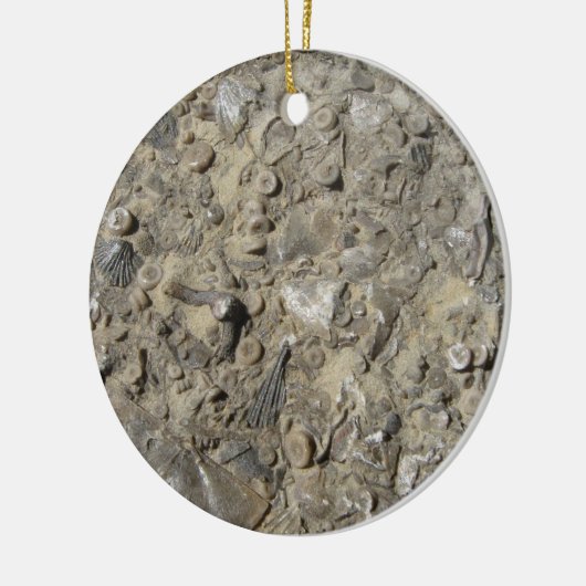 Fossiele Hash Rock Print Keramisch Ornament (Links)