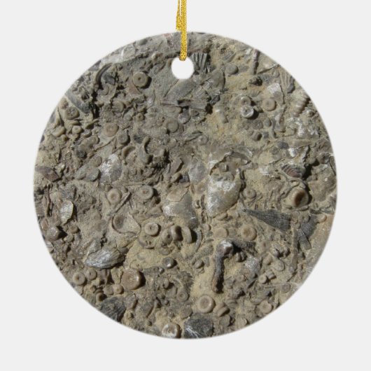 Fossiele Hash Rock Print Keramisch Ornament (Achterkant)