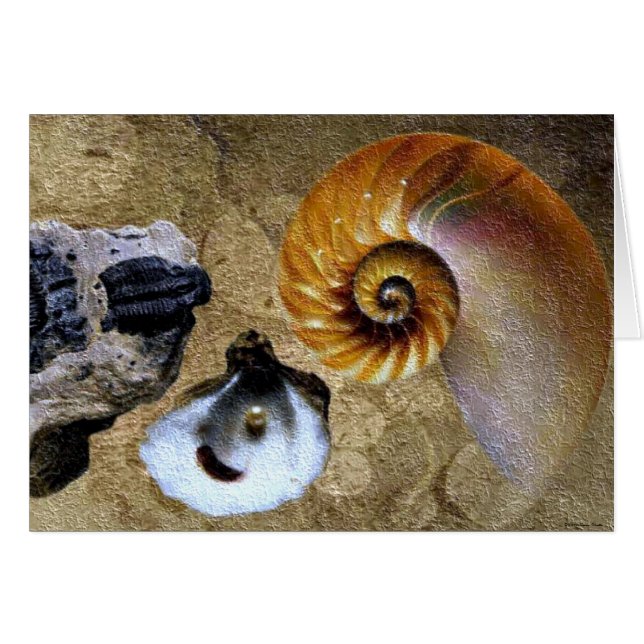 Fossiele Kaart (Voorkant Horizontaal)