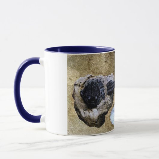 Fossiele Mok (Links)