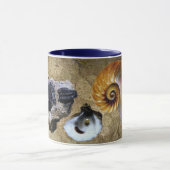 Fossiele Mok (Midden)