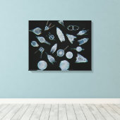 Fossiele radiolarskeletten canvas afdruk (Insitu (Houten vloer))