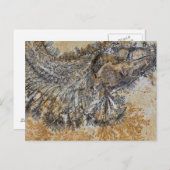 Fossiele vis briefkaart (Voorkant / Achterkant)