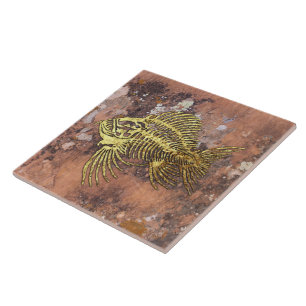 Fossiele viskeramische Tegel Tegeltje