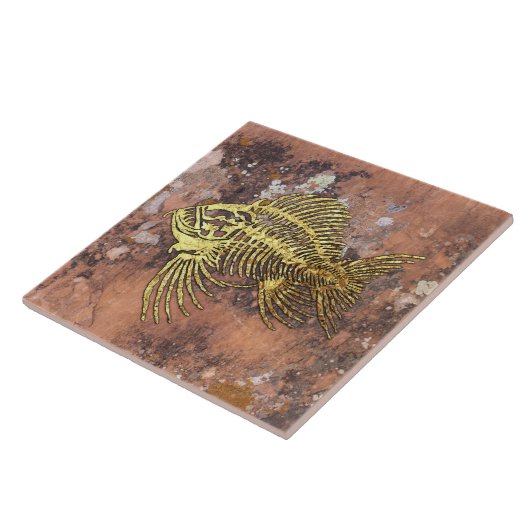 Fossiele viskeramische Tegel Tegeltje (Zijkant)