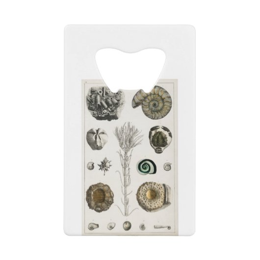 fossielen, dinosaurussen, fossielen, paleontologie creditkaart flessenopener (Voorkant)