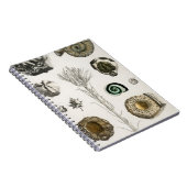 fossielen, dinosaurussen, fossielen, paleontologie notitieboek (Rechterzijde)