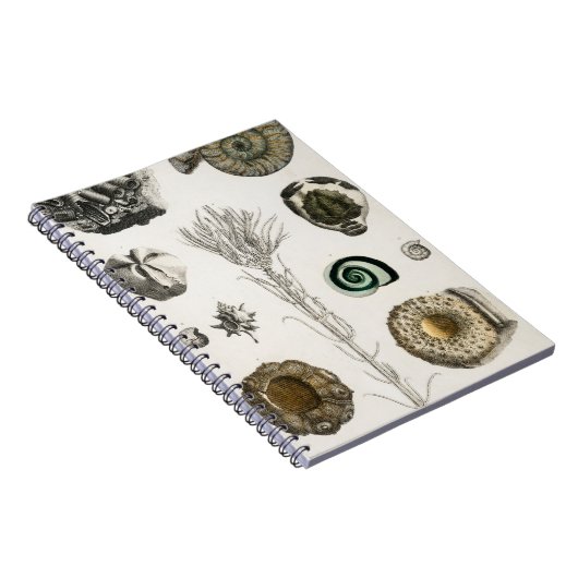 fossielen, dinosaurussen, fossielen, paleontologie notitieboek (Rechterzijde)