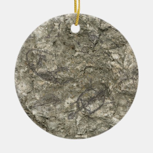 Fossielen Keramisch Ornament (Voorkant)