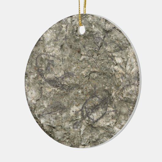 Fossielen Keramisch Ornament (Links)