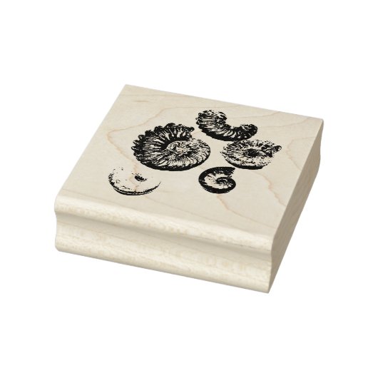fossielen rubberstempel (Stempel)