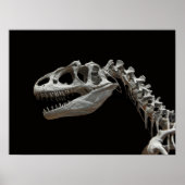 Fossil allosaurus hoofd en hals poster (Voorkant)