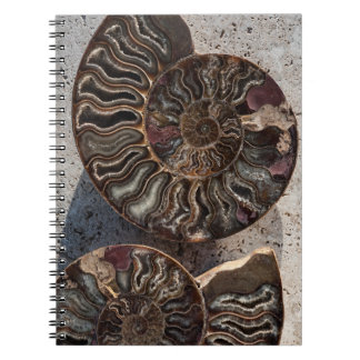 Fossil Ammonite Notitieboek