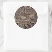 Fossil Ammonite Shell Happy Birthday Sticker (Tas)