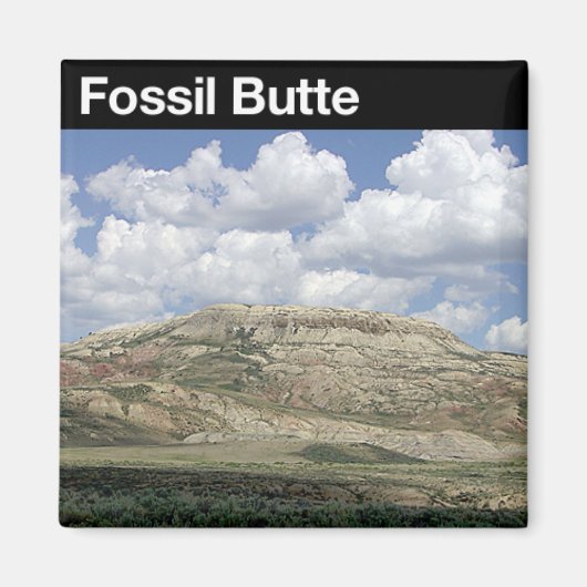 Fossil Butte Nationaal Monument Magneet (Voorkant)