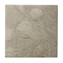Fossil Collectie