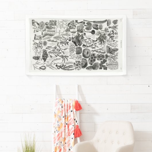 Fossil Coral Geology Minerals Polypi Spandoek (Insitu)