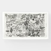 Fossil Coral Geology Minerals Polypi Spandoek (Horizontaal)