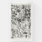 Fossil Coral Geology Minerals Polypi Spandoek (Verticaal)