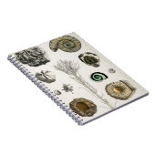 Fossil, Dinosaur, Fossils, Paleontologie, Geologie Notitieboek (Rechterzijde)