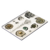 Fossil, Dinosaur, Fossils, Paleontologie, Geologie Notitieboek (Linkerzijde)
