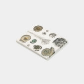 Fossil, Dinosaur, Fossils, Paleontologie, Geologie Post-it® Notes (Schuin)