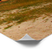 Fossil Exhibit Area, Badlands National Park, SD Poster (Hoek)