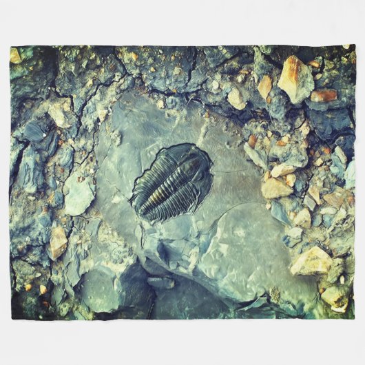 Fossil Fleece Deken (Voorkant (Horizontaal))