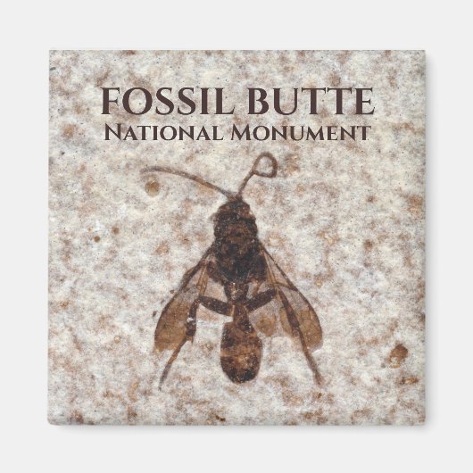 Fossil, Fossil Lake, Fossil Butte NM, Wyoming Magneet (Voorkant)