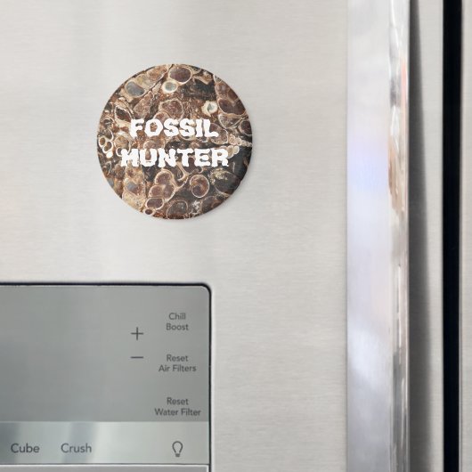 Fossil Hunter Turritella Agate Afbeelding Magneet (Insitu (Koelkast))