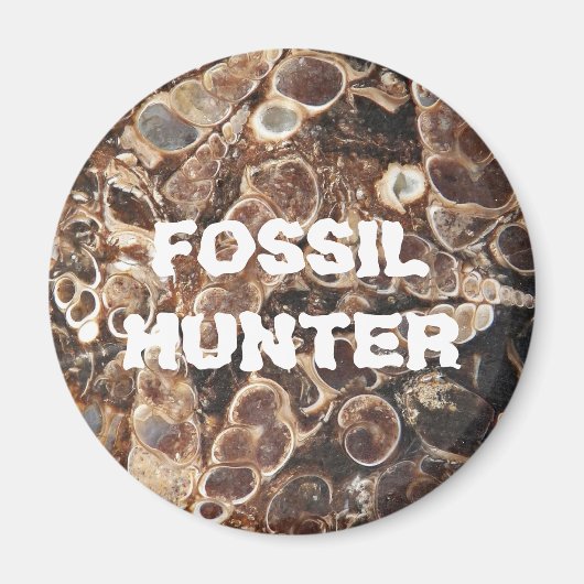 Fossil Hunter Turritella Agate Afbeelding Magneet (Voorkant)