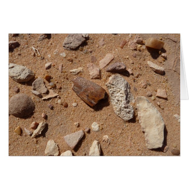 Fossil in het dessert (Voorkant Horizontaal)