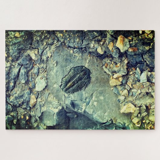 Fossil Legpuzzel (Horizontaal)