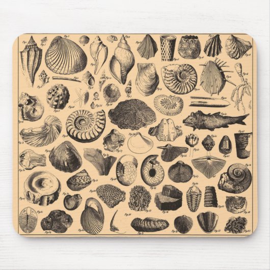 Fossil Mousepad Muismat (Voorkant)