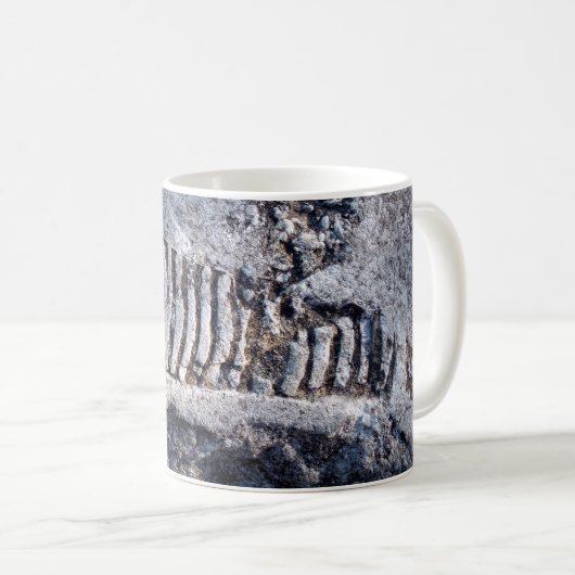 Fossil Nautiloid Cephalopod Ancient Zee Mollusk Koffiemok (Voorkant rechts)