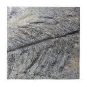 Fossil Plant Tegeltje (Voorkant)