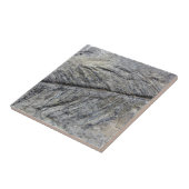 Fossil Plant Tegeltje (Zijkant)