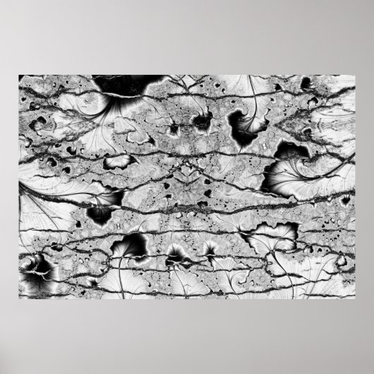 Fossil Poster (Voorkant)