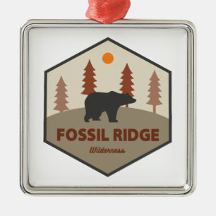 Fossil Ridge Wilderness Colorado Beer Metalen Ornament