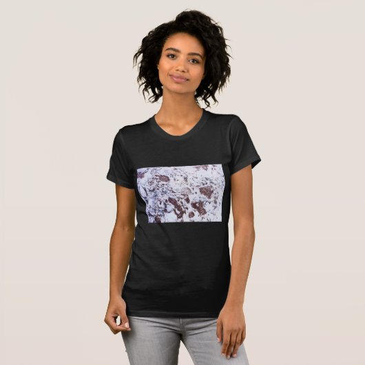 Fossil Rock T-shirt (Voorkant volledig)