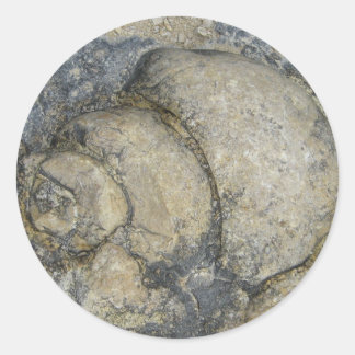 Fossil Ronde Sticker