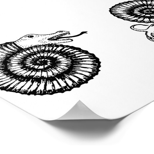 Fossil: Snakestone of Ammonite? Poster (Hoek)