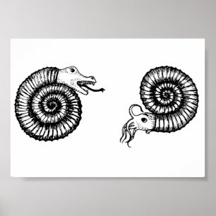 Fossil: Snakestone of Ammonite? Poster
