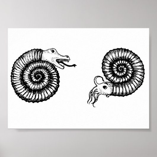 Fossil: Snakestone of Ammonite? Poster (Voorkant)
