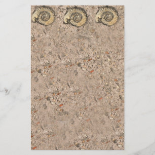 Fossil Stationery Briefpapier