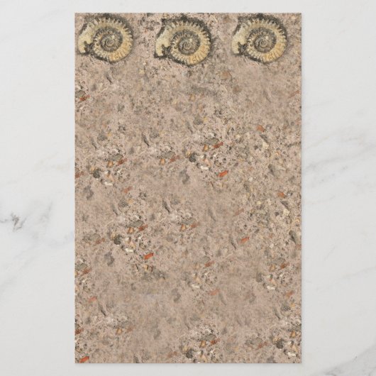 Fossil Stationery Briefpapier (Voorkant)