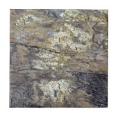 Fossil Wood Tegeltje (Voorkant)